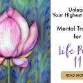 Achieving Peak Performance: Unleashing the Potential of Life Path 11 Individuals through Unique Mental Training